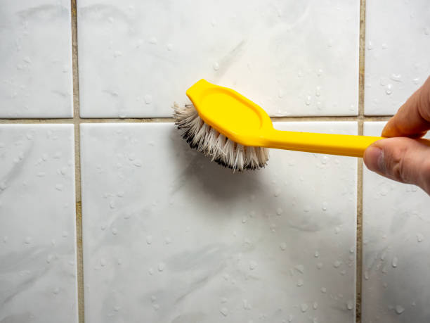 Best Residential Mold Removal  in New London, CT