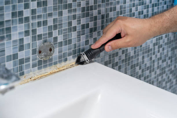 Best Mold Remediation Services  in New London, CT